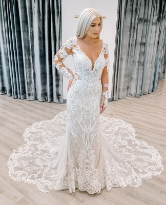 Fitted Lace Wedding Dresses Cheap | Sheer Sleeves Elegant Bridal Gowns_2