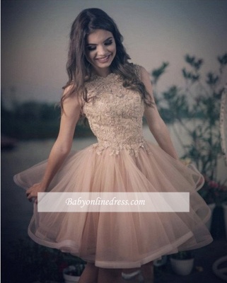 A-line Elegant Lace Tulle Homecoming Dresses_1