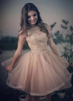 A-line Elegant Lace Tulle Homecoming Dresses_2